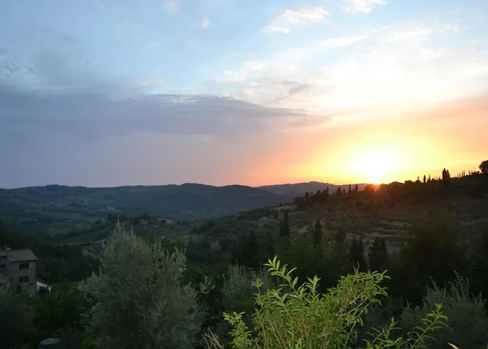 La Cipressa *