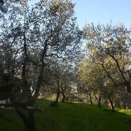 La Cipressa بيت للعطل غريفي ان شنتي
