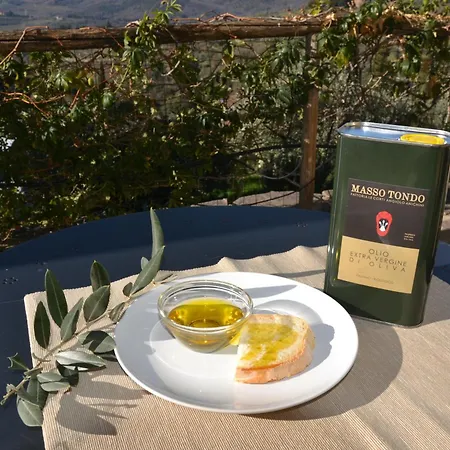 بيت للعطل La Cipressa غريفي ان شنتي