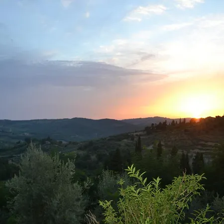 La Cipressa *